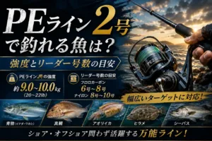 PEライン2号で釣れる魚は？強度とリーダー号数の目安