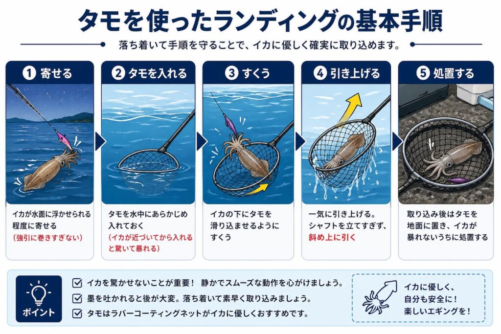 タモの正しい使い方とメンテナンス