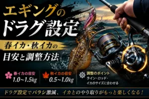 エギングのドラグ設定｜春イカ・秋イカの目安と調整方法