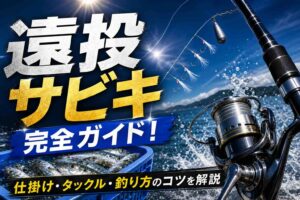 遠投サビキ完全ガイド！仕掛け・タックル・釣り方のコツを解説