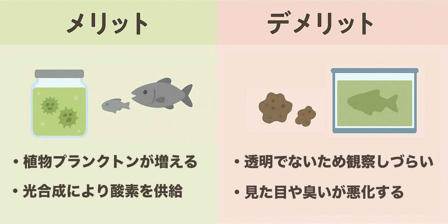 グリーンウォーターのメリット・デメリット