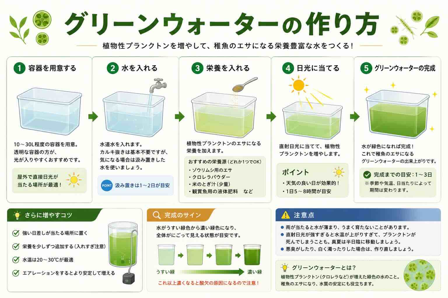グリーンウォーターの作り方