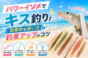 パワーイソメでキス釣り！効果的な使い方と釣果アップのコツ