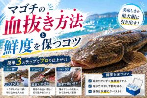 マゴチの血抜き方法と鮮度を保つコツ