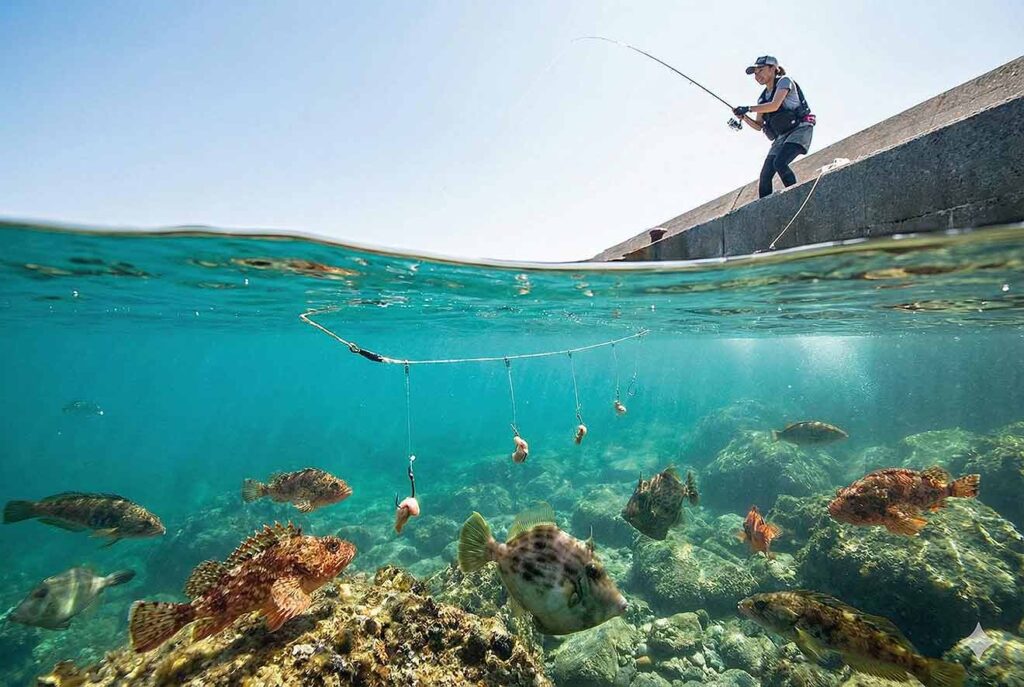 堤防釣りの万能選手！胴付き仕掛けの作り方と釣り方徹底解説