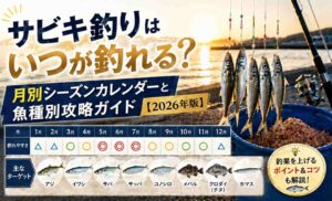 サビキ釣りはいつが釣れる？月別シーズンカレンダーと魚種別攻略ガイド【2026年版】