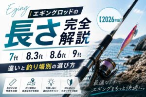 エギングロッドの長さ完全解説｜7ft・8.3ft・8.6ft・9ftの違いと釣り場別の選び方【2026年版】