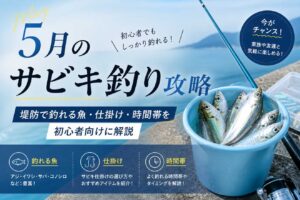 5月のサビキ釣り攻略｜堤防で釣れる魚・仕掛け・時間帯を初心者向けに解説