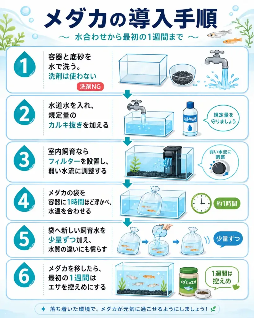 メダカの導入手順