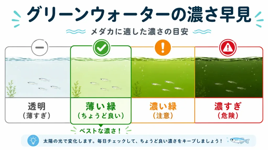 グリーンウォーターの濃さの目安(薄い緑〜濃すぎ)