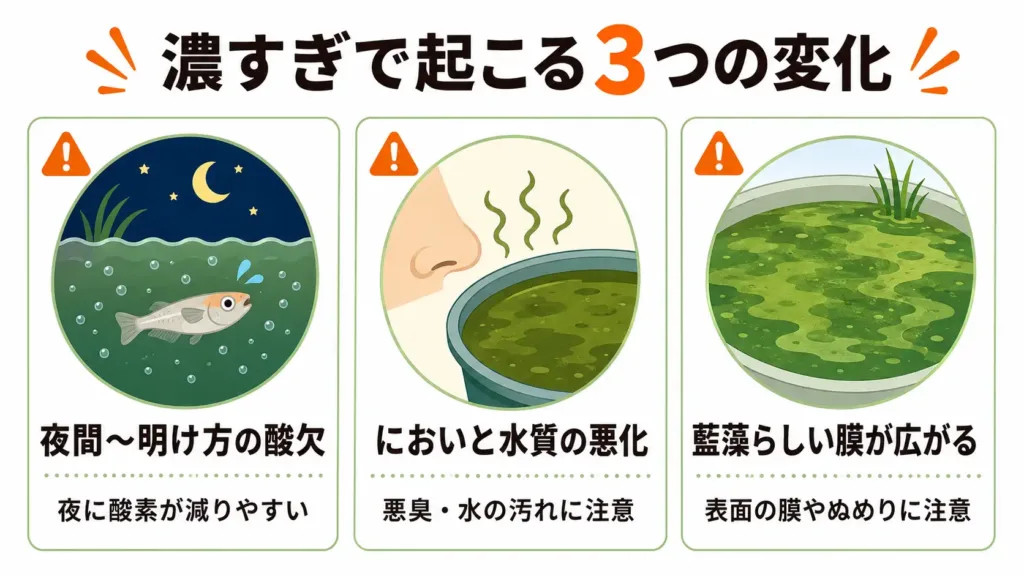グリーンウォーターが濃すぎるときの3つの危険サイン