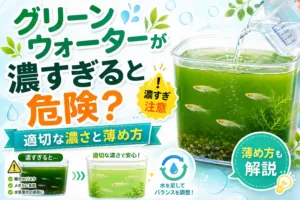 グリーンウォーターが濃すぎると危険？適切な濃さと薄め方