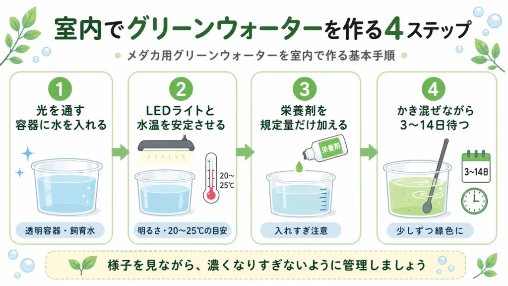 室内でグリーンウォーターを作る4ステップ