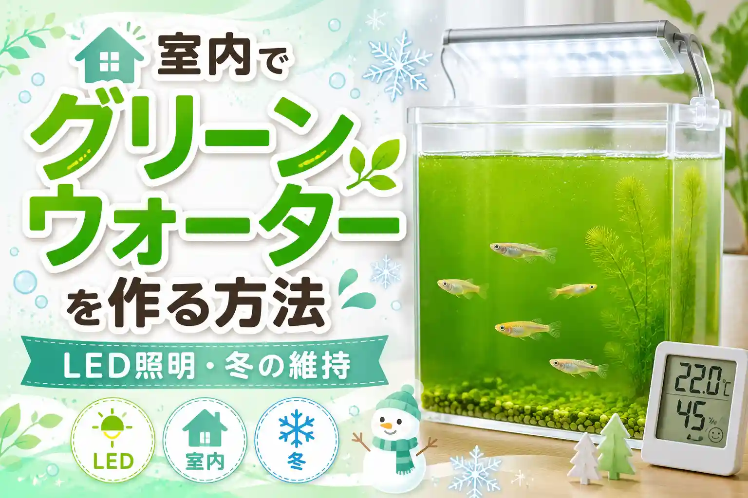 室内でグリーンウォーターを作る方法｜LED照明・冬の維持
