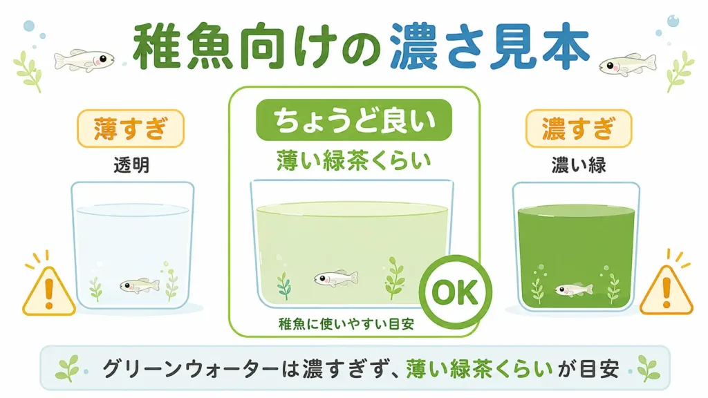 メダカの稚魚に適したグリーンウォーターの濃さ