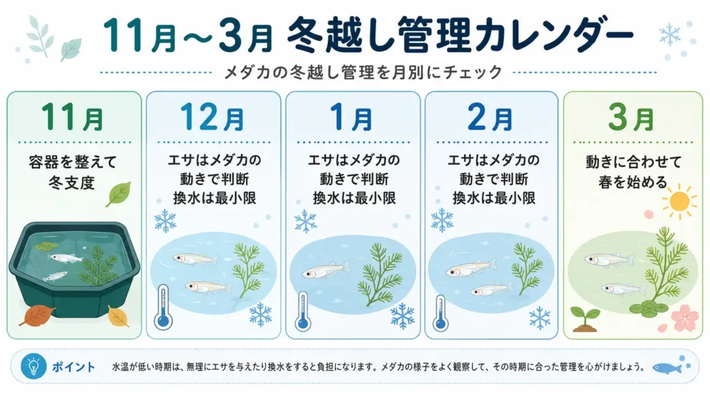 メダカの冬越し管理カレンダー（11月〜3月）