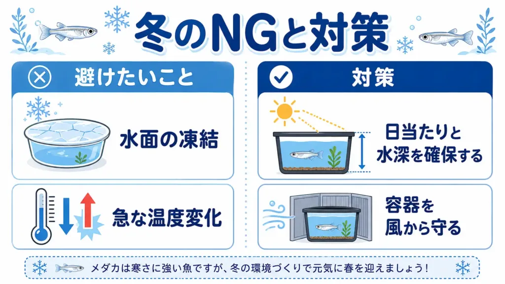 メダカの冬越しで避けたい凍結と急な温度変化
