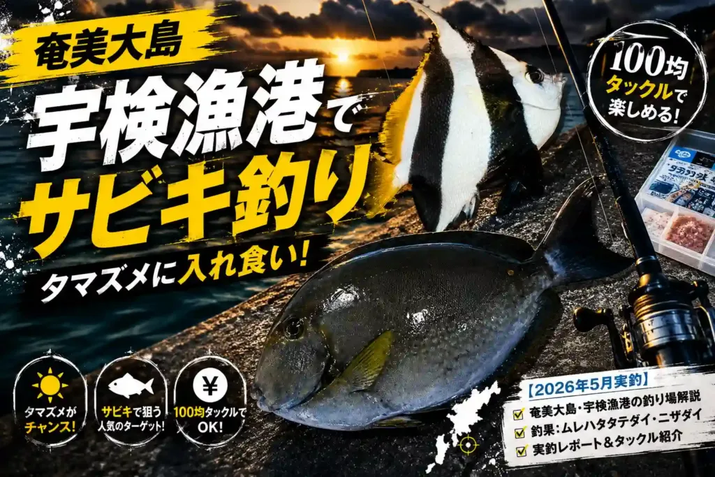 奄美大島・宇検漁港でサビキ釣り｜100均タックルで夕マズメに入れ食い【2026年5月実釣】