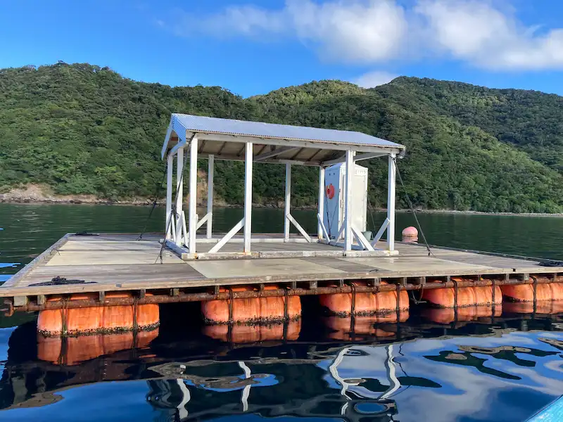 奄美大島・宇検村のイカダ釣り場