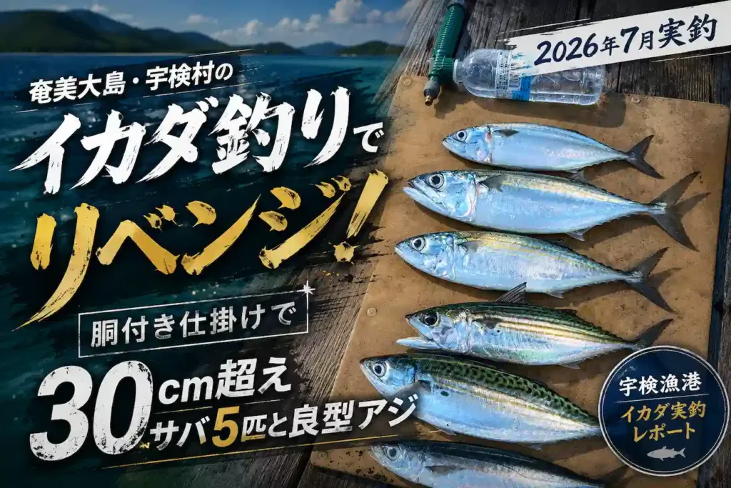 奄美大島・宇検村のイカダ釣りでリベンジ！胴付き仕掛けで30cm超えサバ5匹と良型アジ【2026年7月実釣】