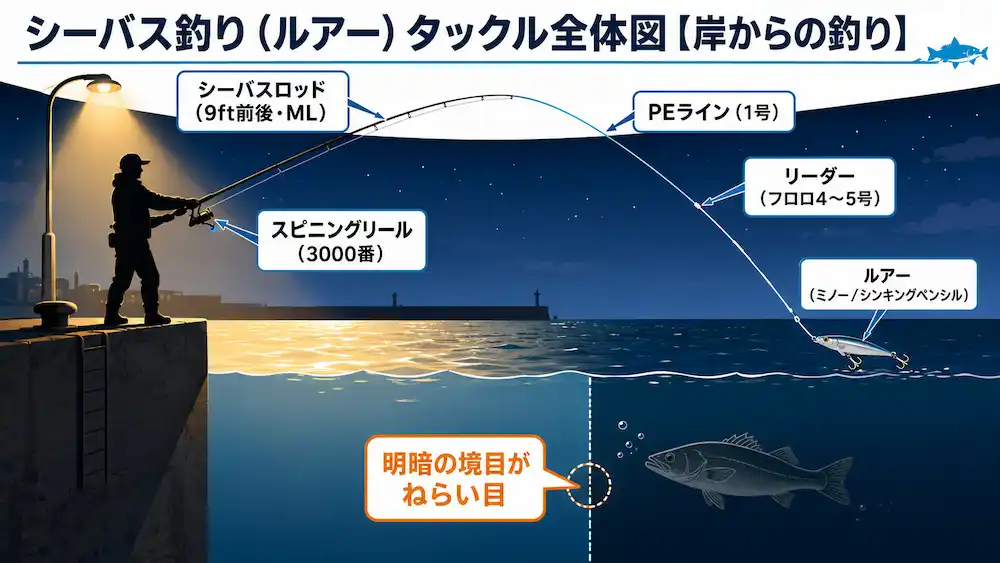シーバス釣りのタックル全体図 モアザンで組む岸釣りの基本構成