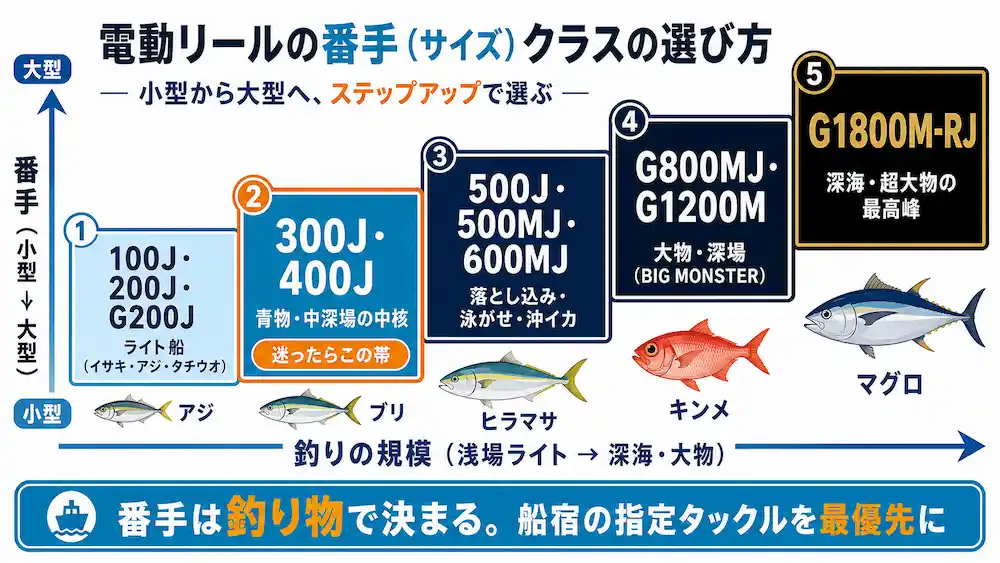 シーボーグの番手と釣り物の対応マップ 100Jから1800Mまでの選び方