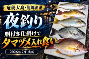 奄美大島・龍郷漁港の夜釣りで釣れた魚5匹｜胴付き仕掛けで夕マヅメ入れ食い